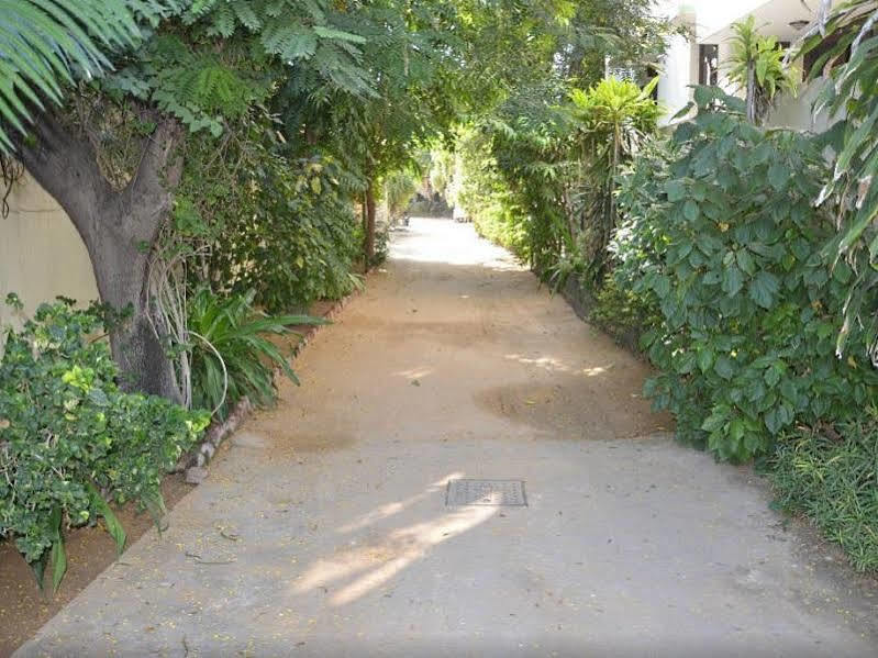 자이푸르 샤하르 팰리스 B&B 외부 사진